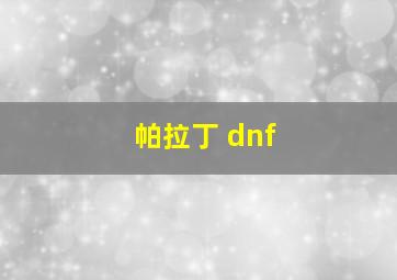 帕拉丁 dnf